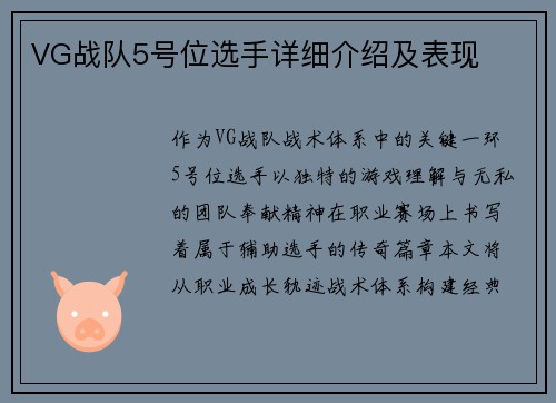 VG战队5号位选手详细介绍及表现